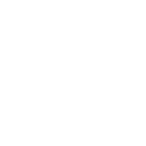Kolibri Aesthetics - hummingbird and lily mark